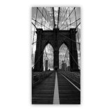 Design douchedeur op maat van glas BROOKLYN BRIDGE 104